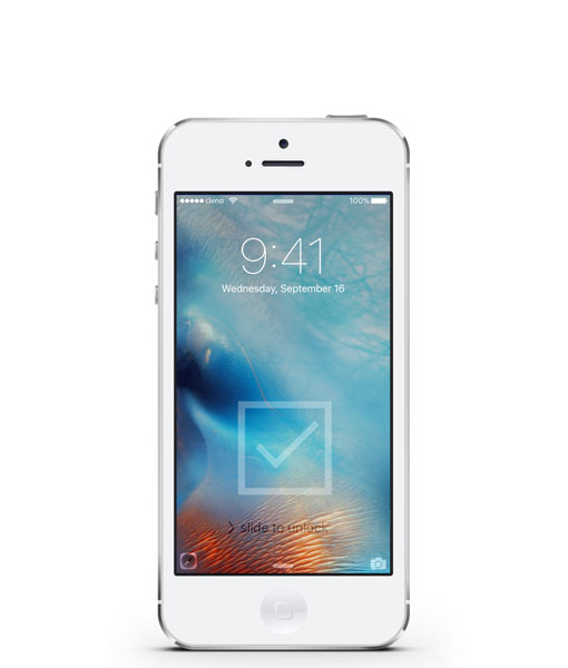iPhone 5C